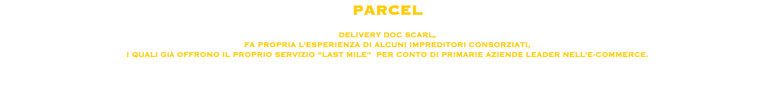 PARCEL DELIVERY DOC SCARL, FA PROPRIA L'ESPERIENZA DI ALCUNI IMPREDITORI CONSORZIATI, I QUALI GIà OFFRONO IL PROPRIO SERVIZIO “LAST MILE” PER CONTO DI PRIMARIE AZIENDE LEADER NELL'E-COMMERCE. 